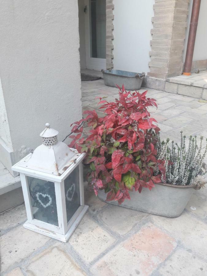 הוילה לידו די פרמו Il Gatto E Il Violino מראה חיצוני תמונה